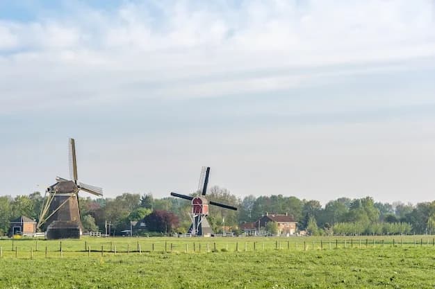 Atmospheric image for sworn Western Frisian translations